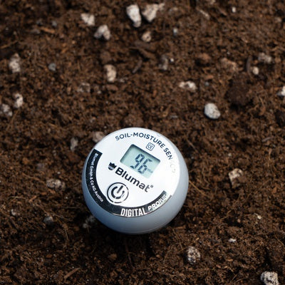 Mastering Moisture in Living Soil: How Tensiometers Transformed My Gardening