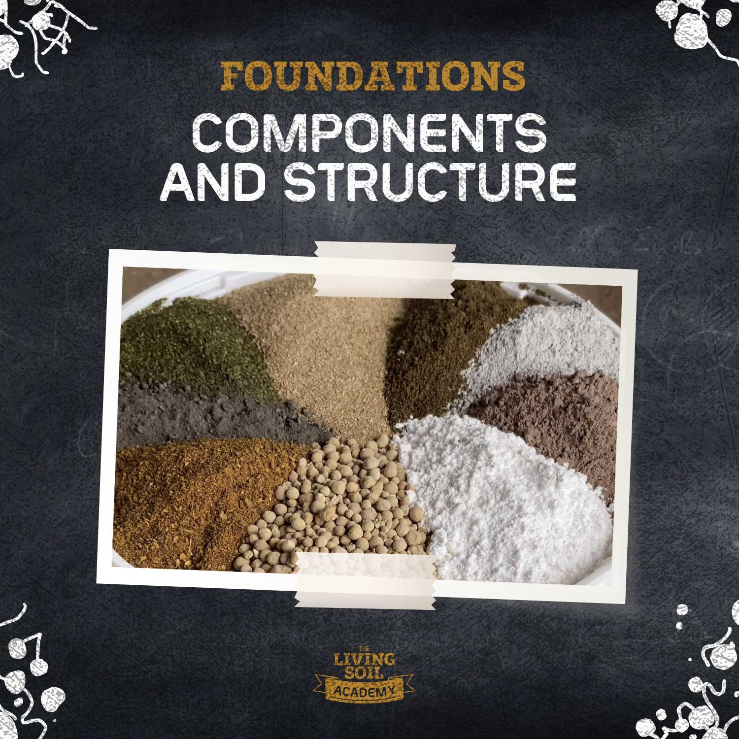 What Is Living Soil Made Of? Components and Structure
