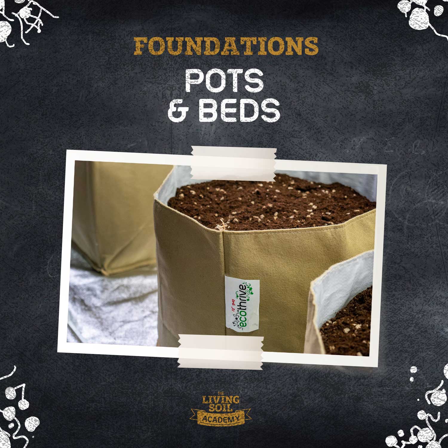 Pots and Beds: Choosing the Right Size