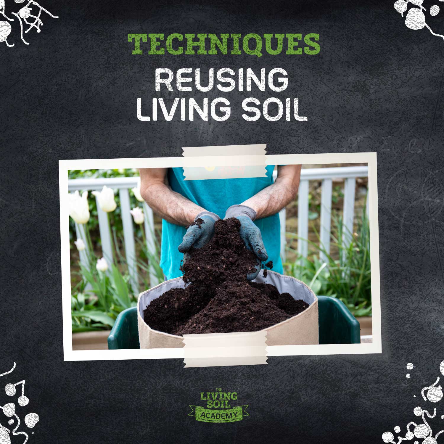 Reusing Living Soil: How to Re-amend for the Next Cycle