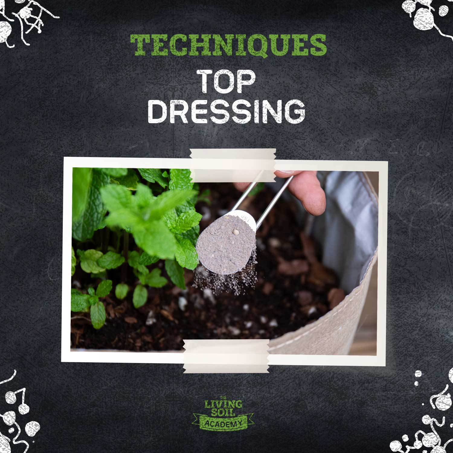 Top Dressing: How to Feed Your Living Soil