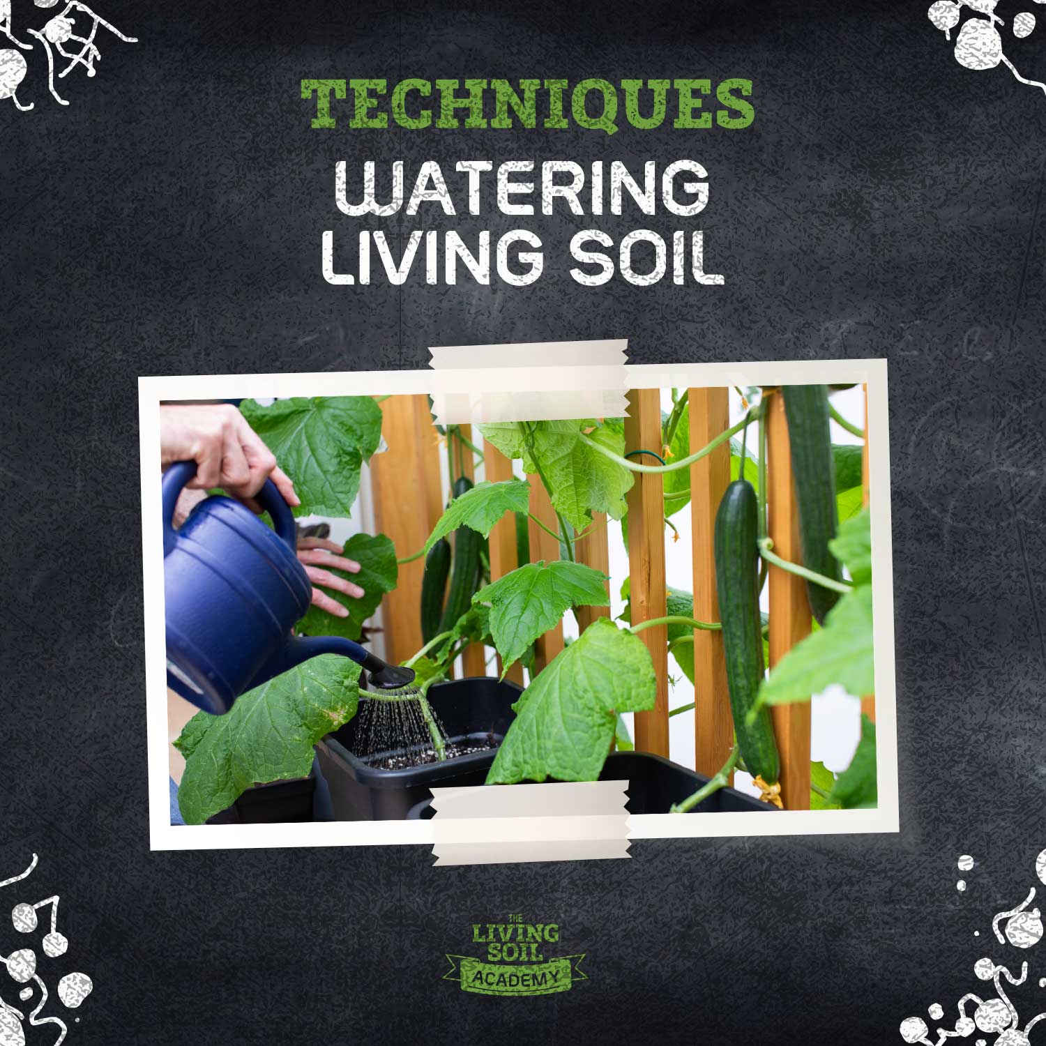 Watering in Living Soil: Getting It Right