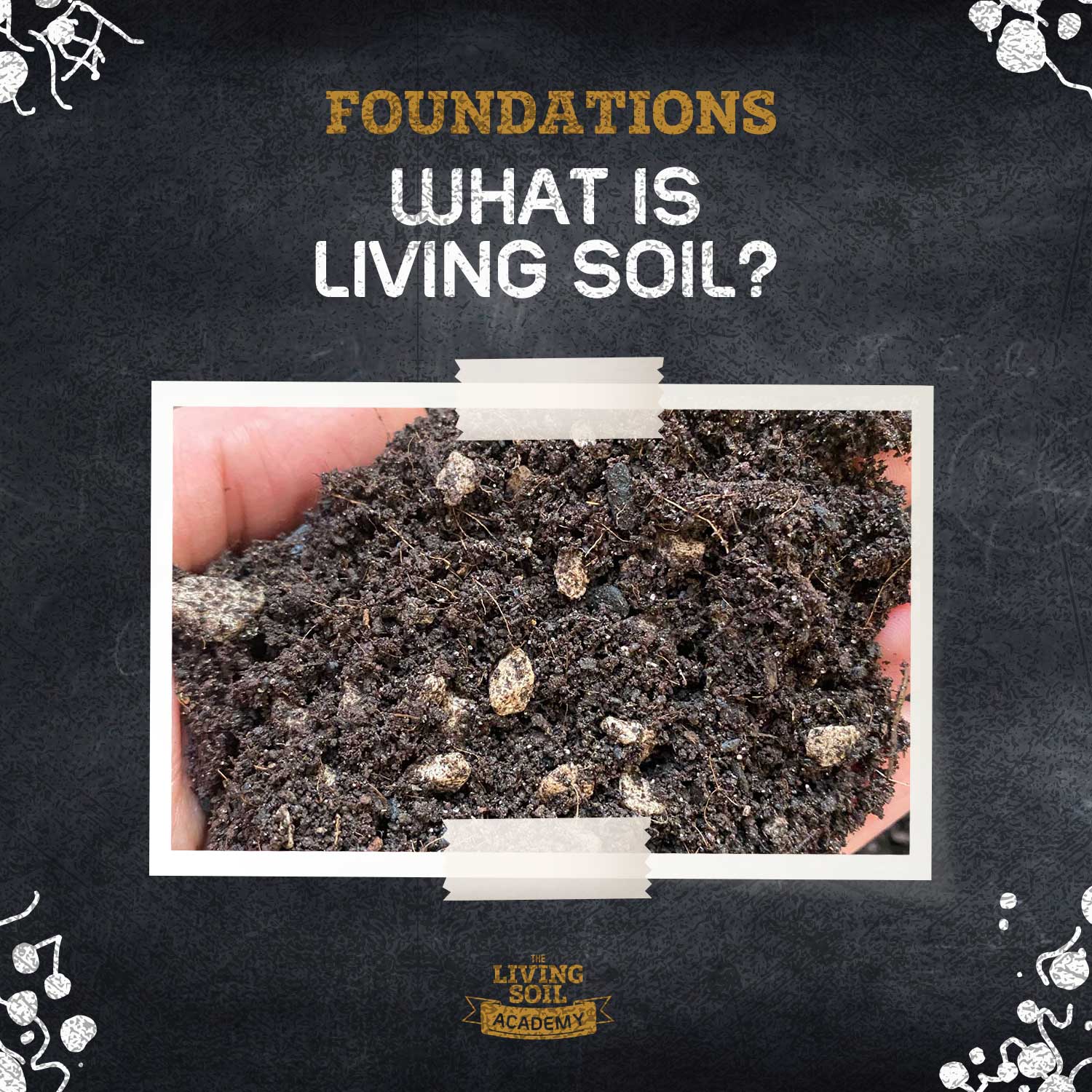 What Is Living Soil? Building a Biological Growing System
