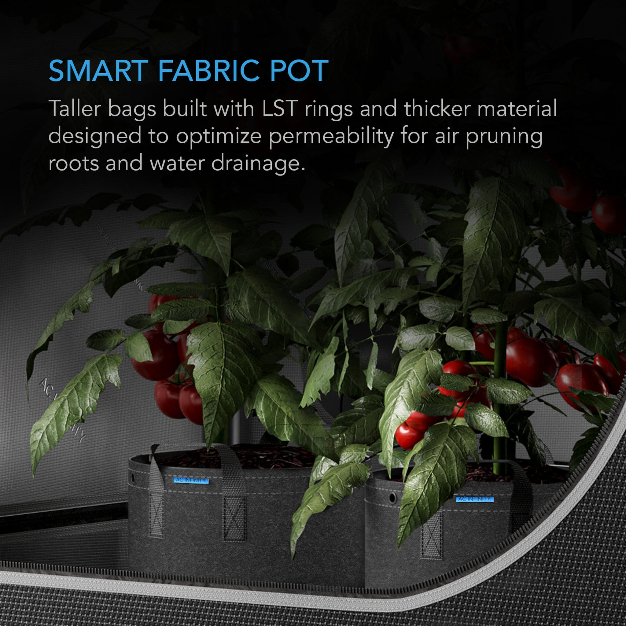 AC Infinity Heavy Duty Fabric Pots, 7 Gallon, 5 Pack