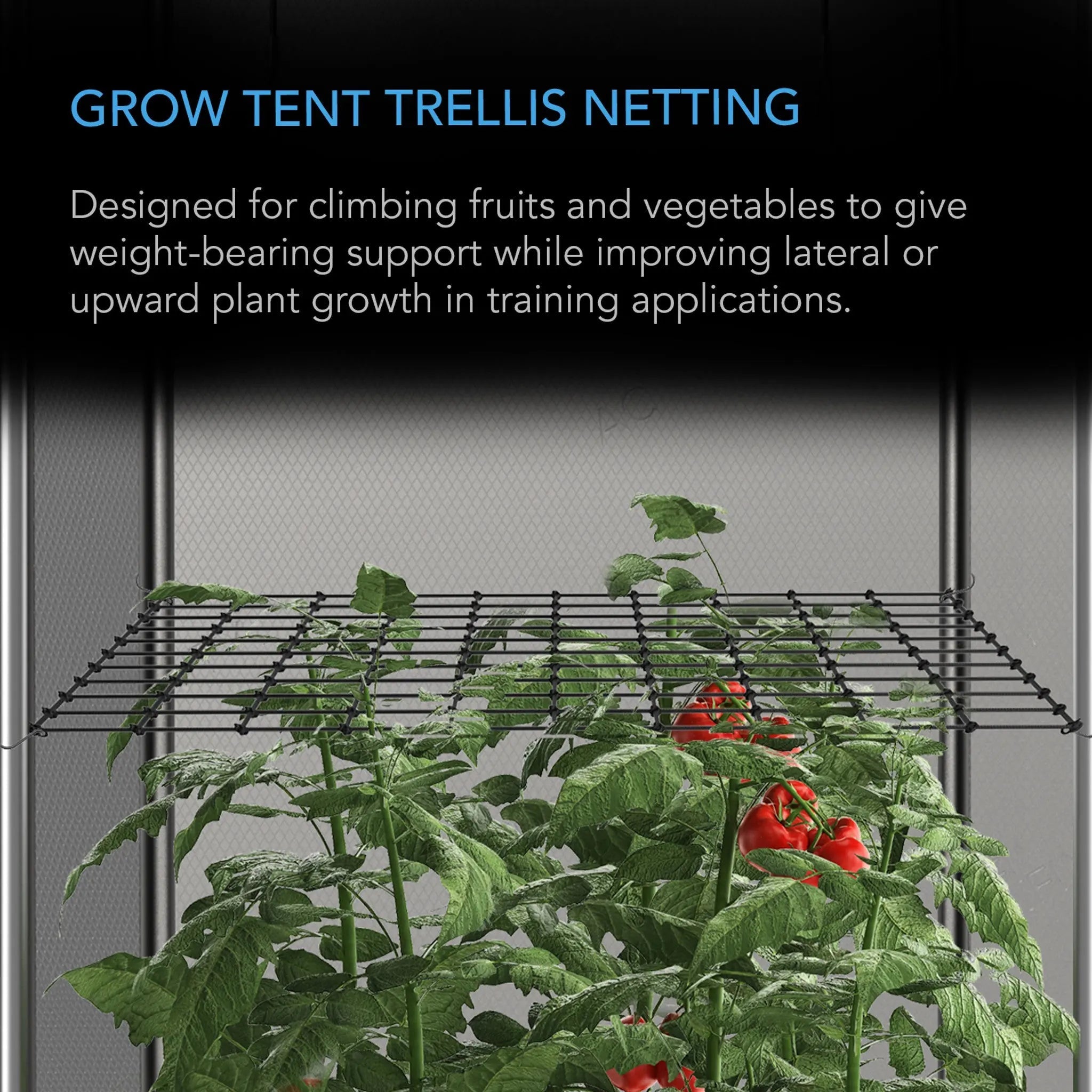 AC Infinity Grow Tent Trellis Netting 4x4