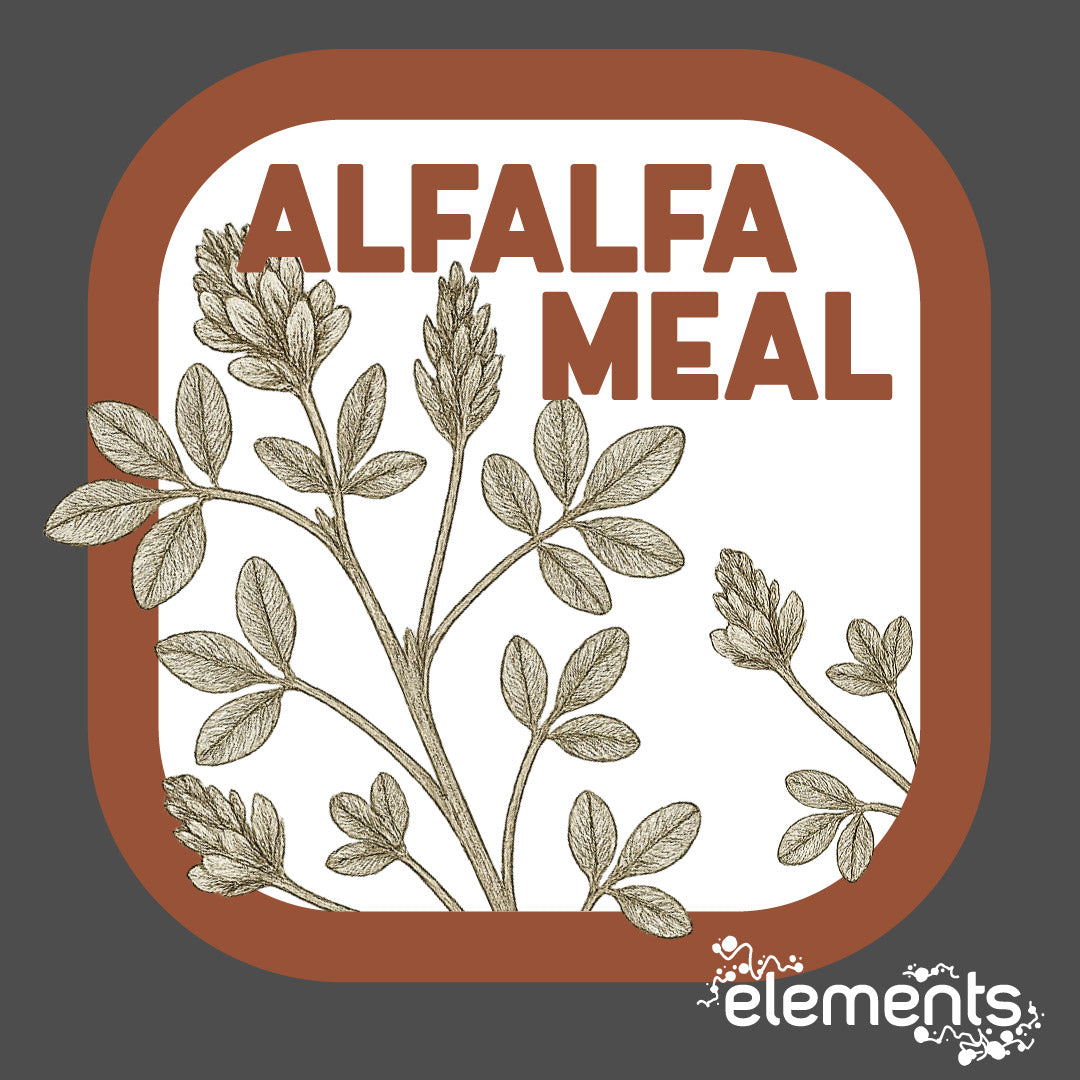 Alfalfa Meal