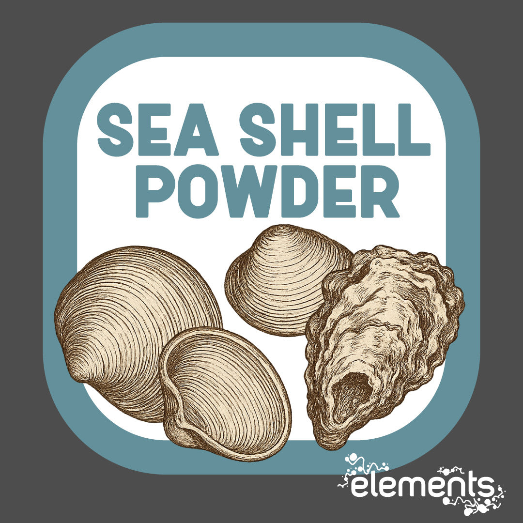 Sea Shell Powder