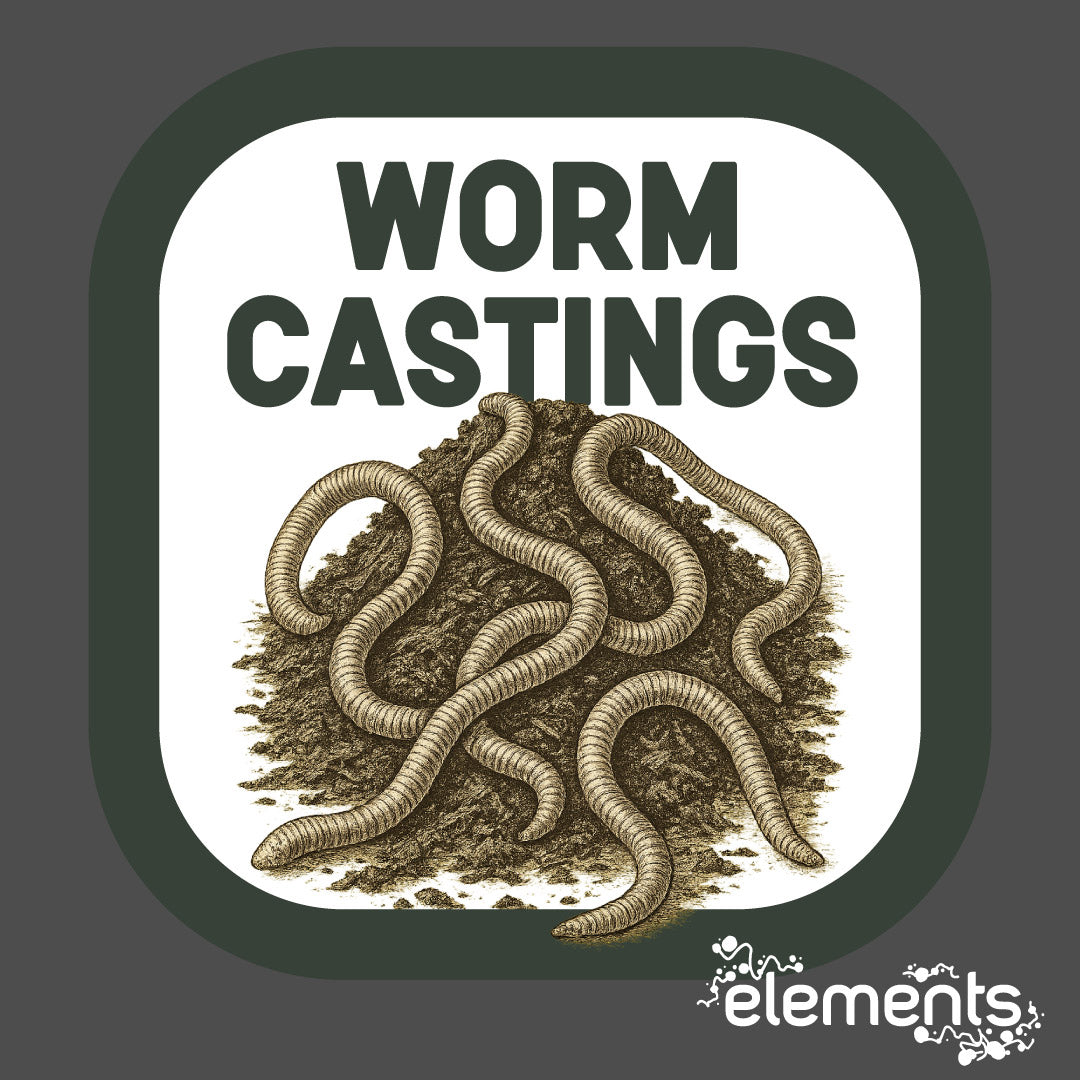 Worm Castings - Vermicompost