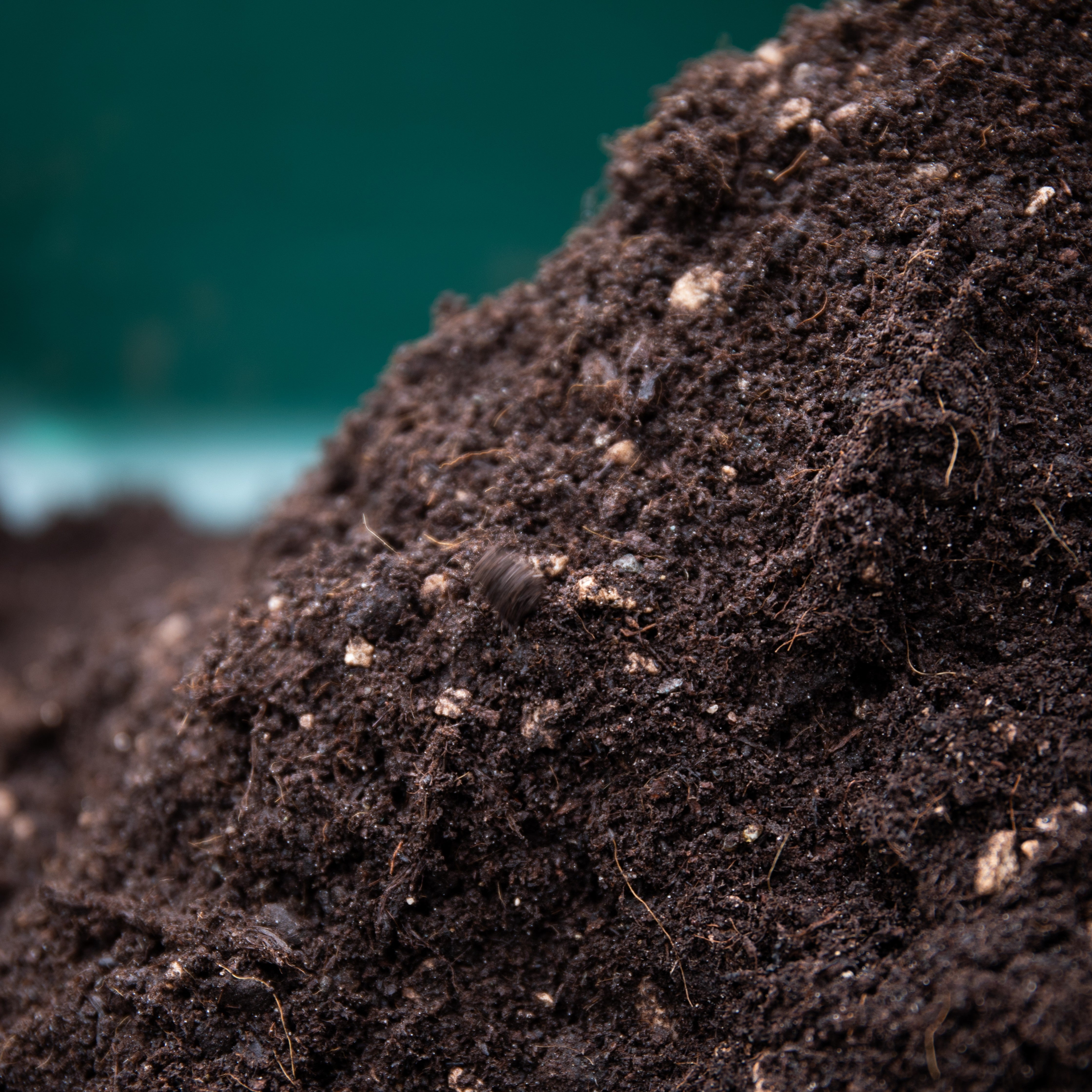 Living Soil Health Check