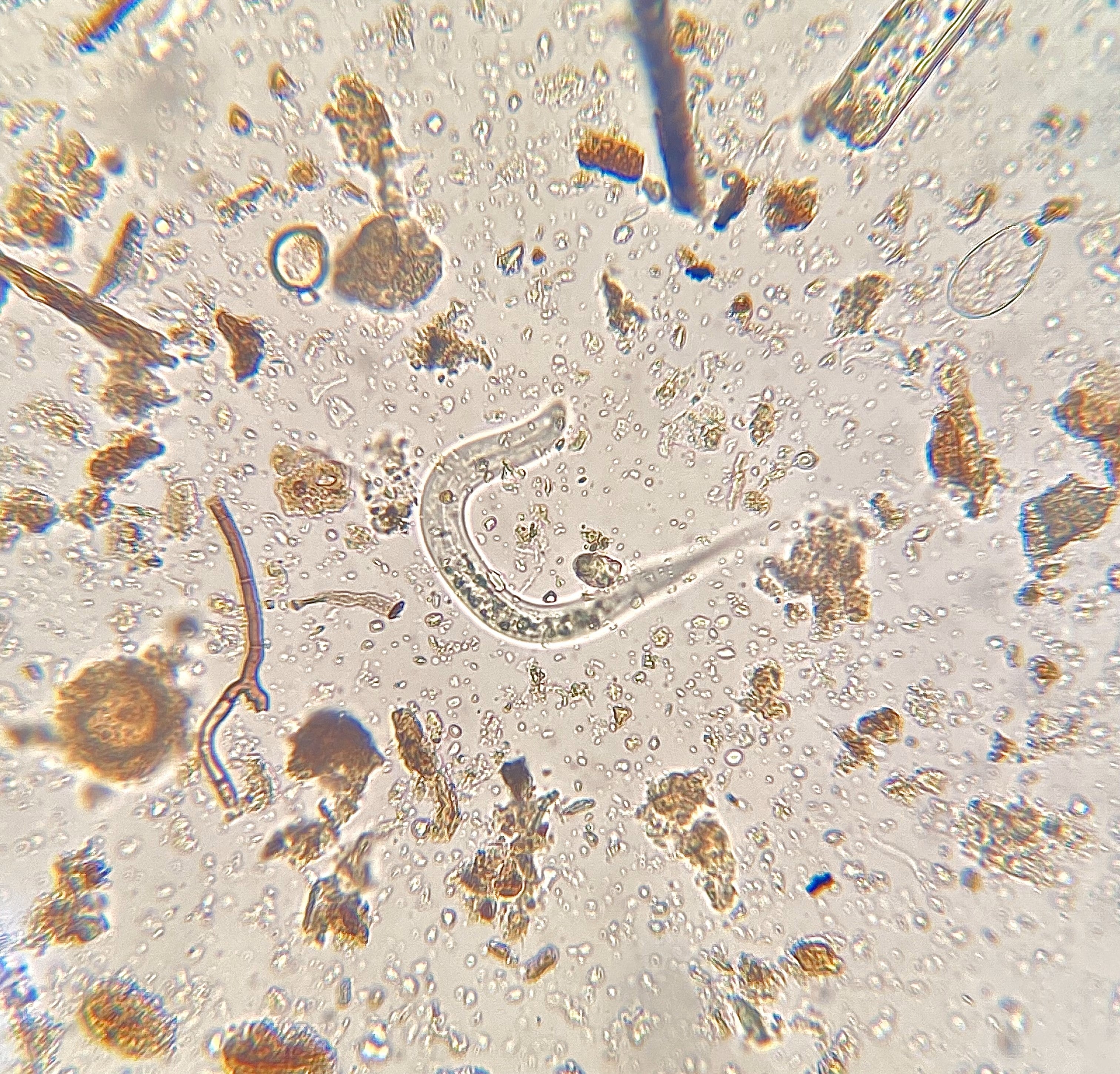Biological Analysis