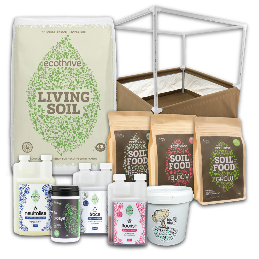 Living Soil Bed Kits With Trellis