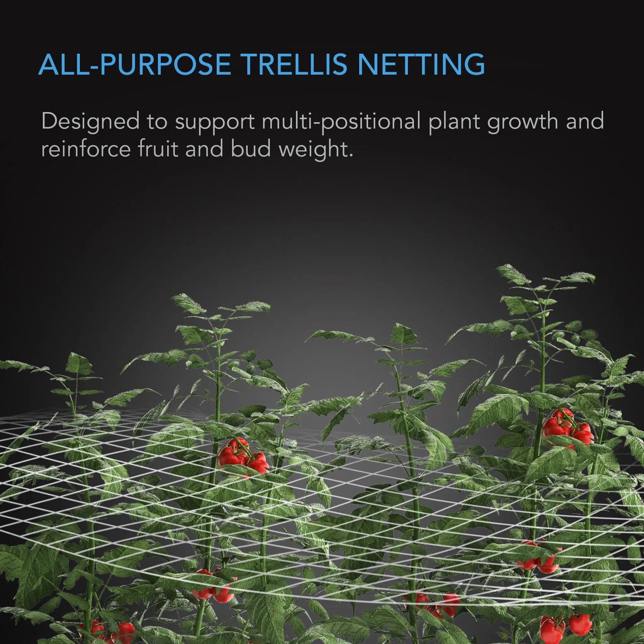 Polyester Plant Trellis Netting, 5x30'