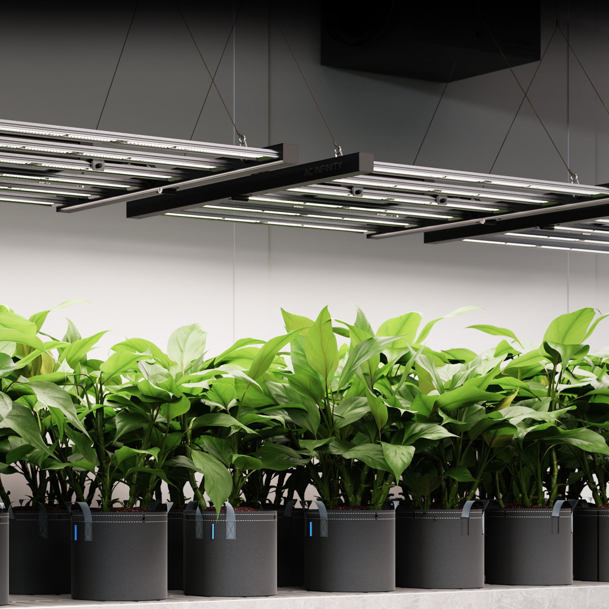 IONFRAME EVO8, Samsung LM301H EVO Commercial LED Grow Light, 730W, 5x5 FT