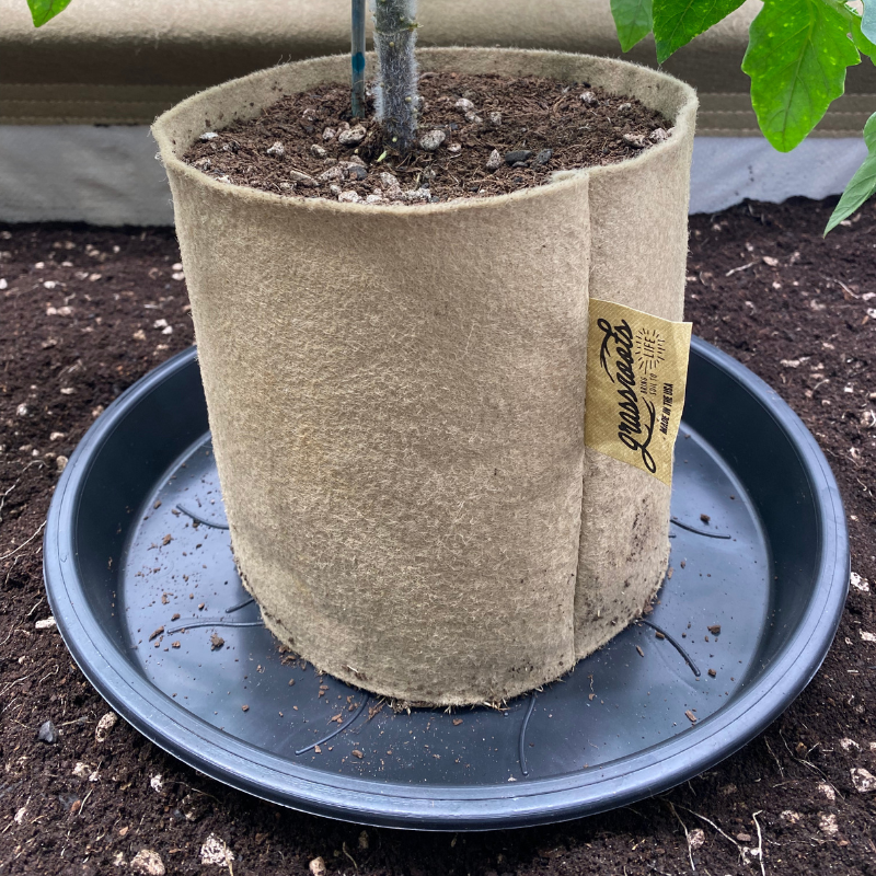Grassroots Bottomless Pots
