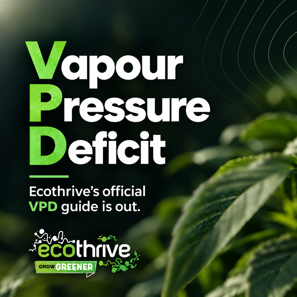Ecothrive’s VPD Guide