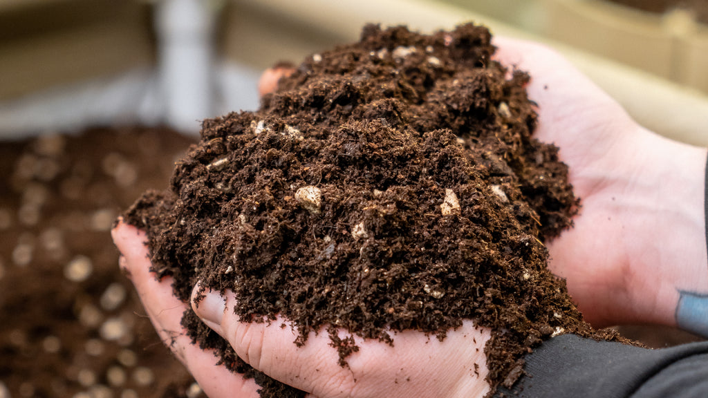 Living Soil: Is it Just an Organic Potting Mix Product or is it a Process?