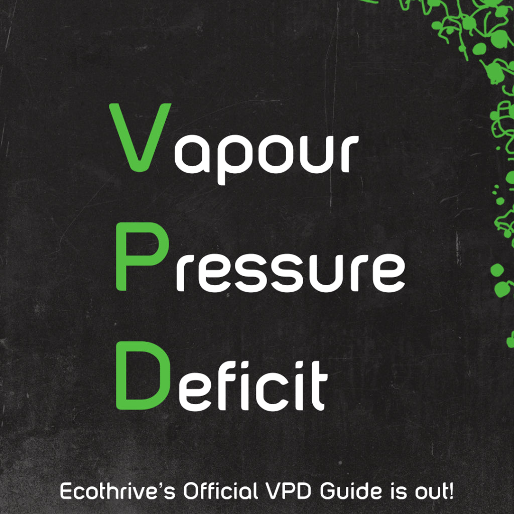 Ecothrive’s VPD Guide