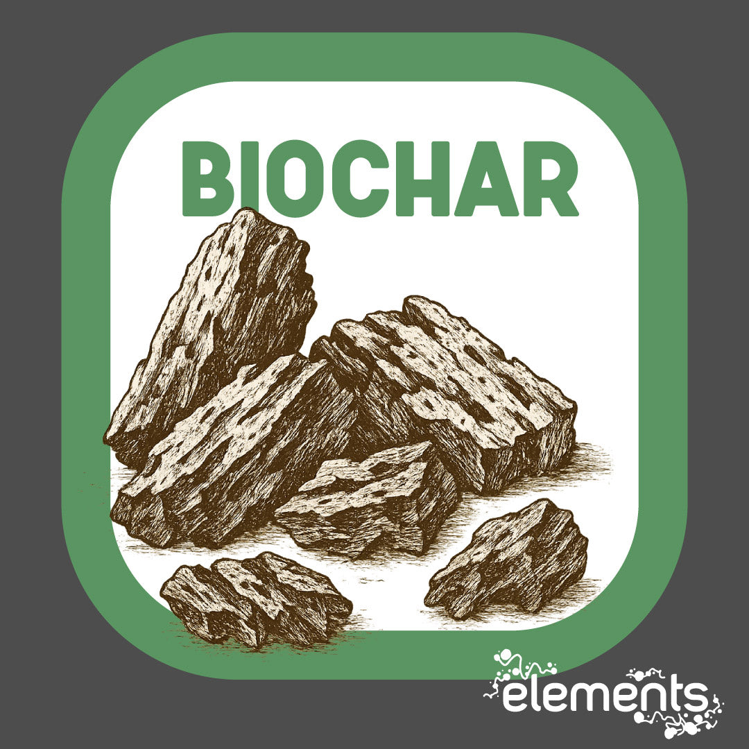 Biochar