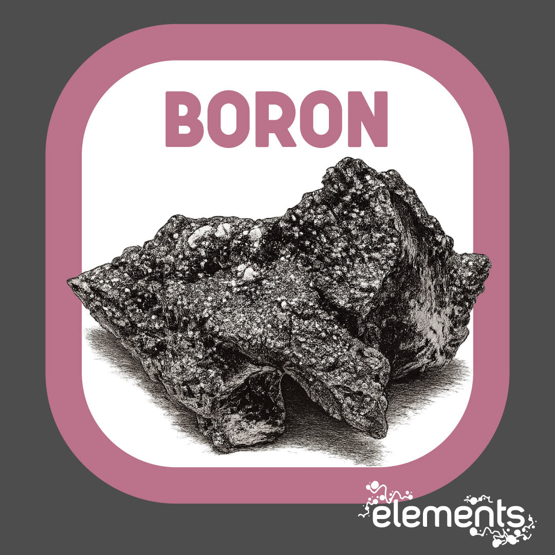 Boron Supplement