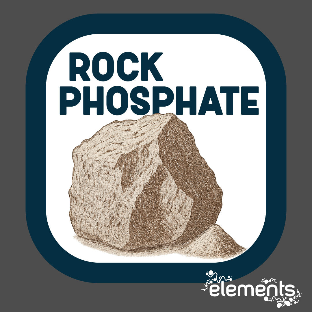 Rock Phosphate Powder