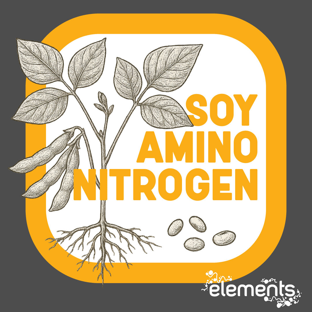 Soy Protein Hydrolysate