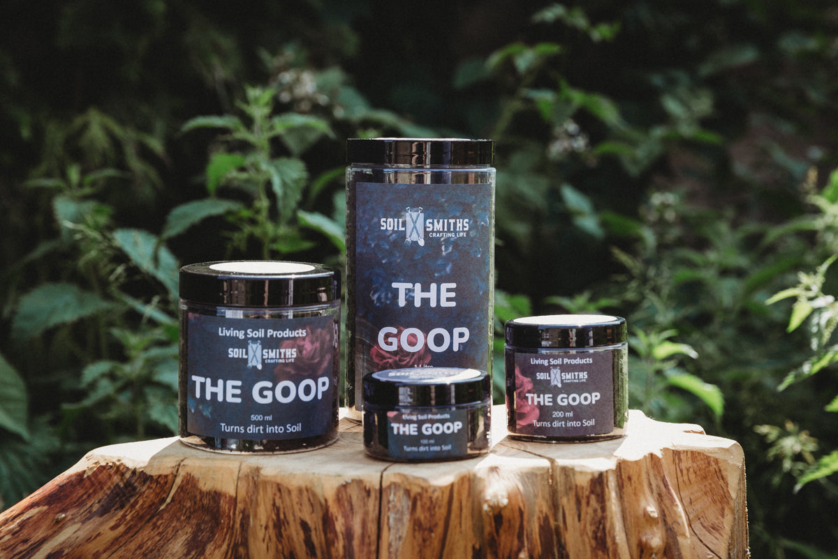 The GOOP