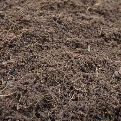 Ecothrive professional Coco coir blend with Charge for fast growing, healthy plants.